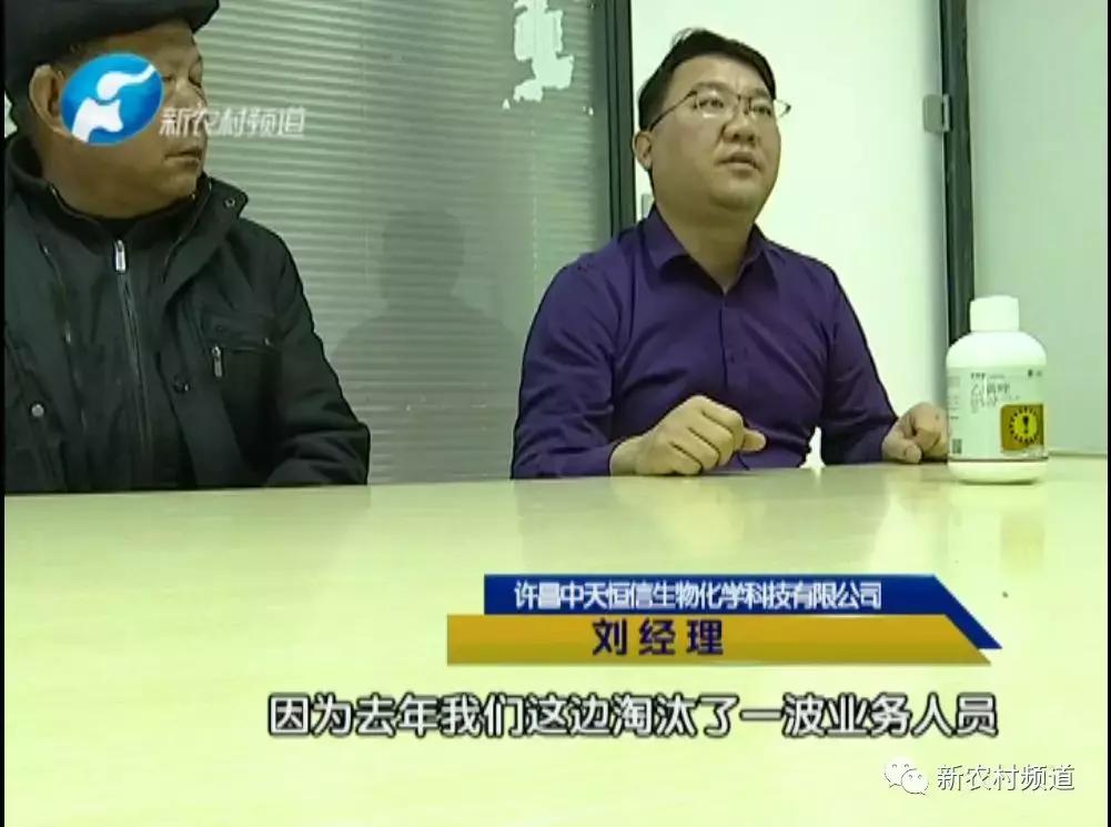玉米除草剂药害玉米减产吗,玉米受药害减产吗