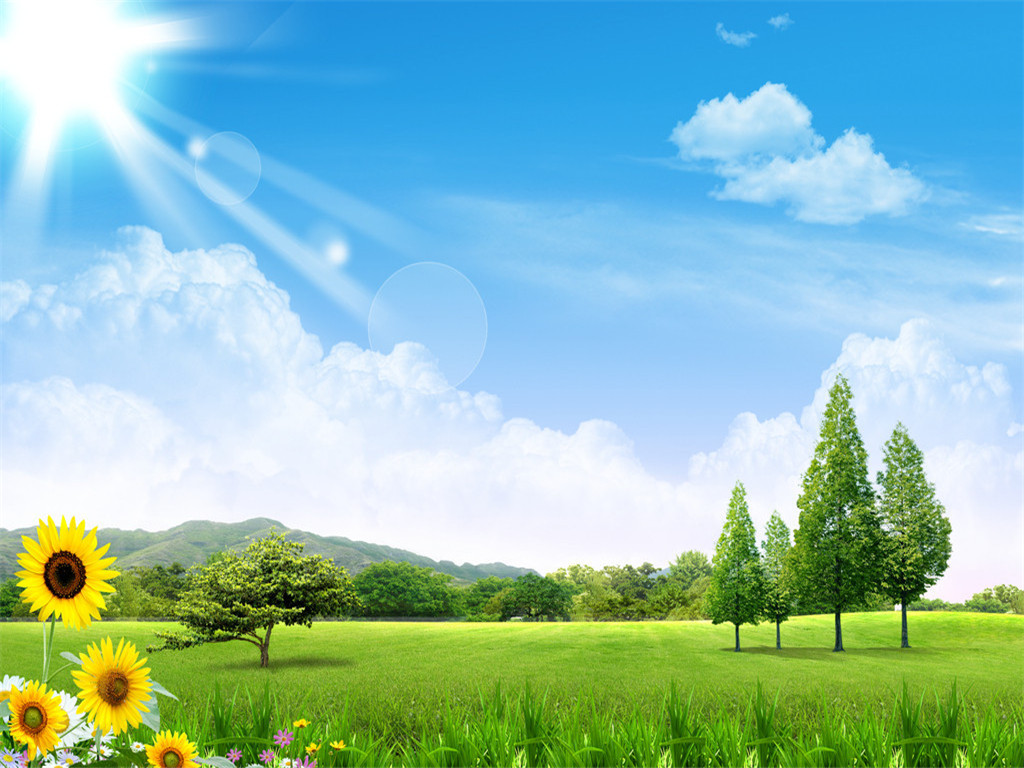 最美的护眼桌面壁纸,超清晰2340x1080曲面屏护眼壁纸