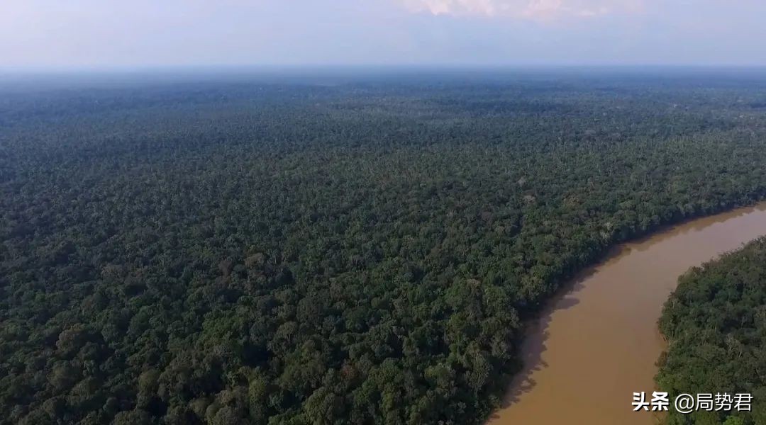 全球森林面积最低的国家排名,亚洲面积最大的人工红松森林