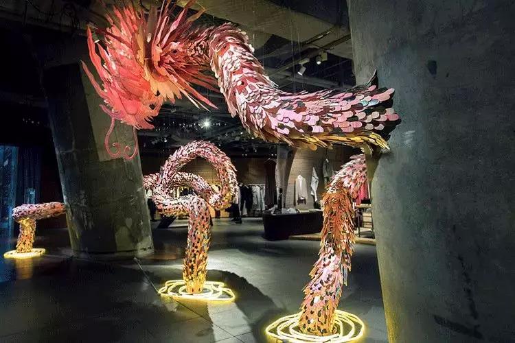 90后女学生解剖课,90后女孩上解剖课