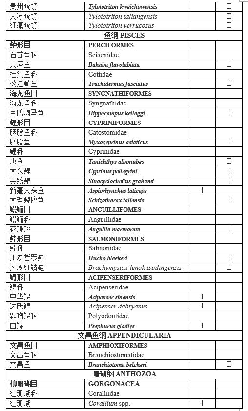 甲鱼是否列入禁食名单,牛蛙甲鱼被列入禁食名单了吗