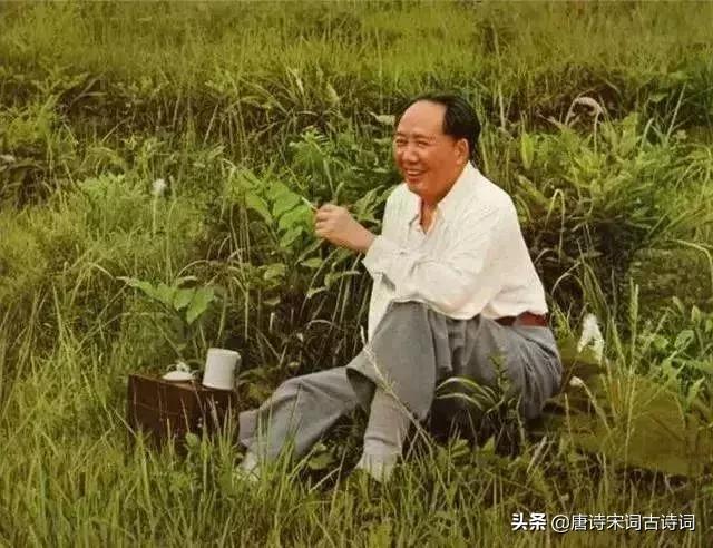 最能代表毛*东泽**人生的四首诗词，至情至性，大气磅礴！