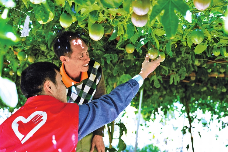 农民致富的途径,农民脱贫致富出路在哪