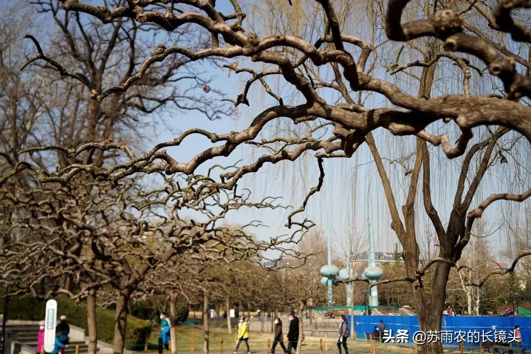 人定湖公园值得一去吗,北京人定湖公园旅游攻略