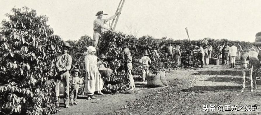 巴西还能崛起吗,巴西为什么不像美国一样发达