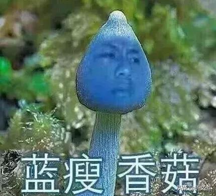 20年流行语,十年前的网络流行语你还记得哪些