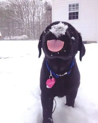 生存小技巧钻木取火,荒野生存取水技巧