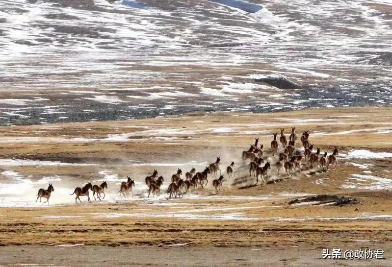 这位老*党**员镜头下的青海，美出天际