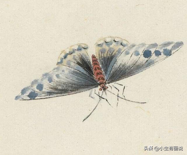 齐白石画的老虎放大10倍什么样子,齐白石为什么把老虎画成病猫