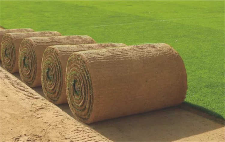 豪情全运会烽烟燃起，超卓绿京华倾心助力