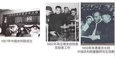 抗痘抑菌凝胶,祥顺比尔霍夫抑菌凝胶治理皮癣