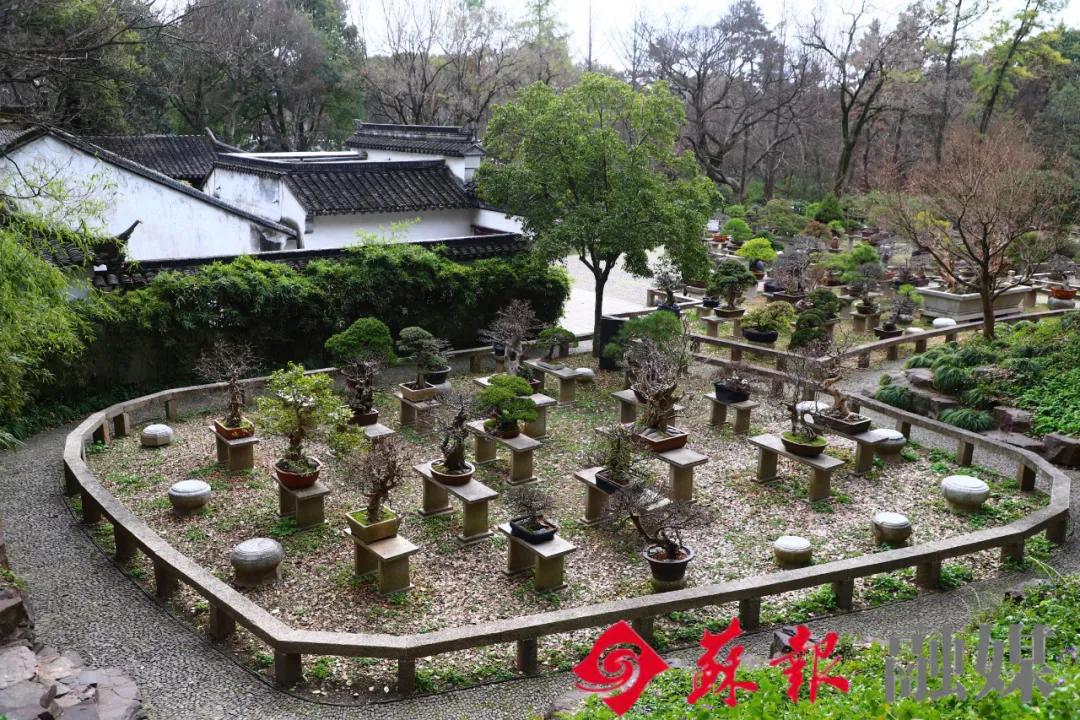 苏州旅游必打卡的10个景点,苏州适合周末放松的景区