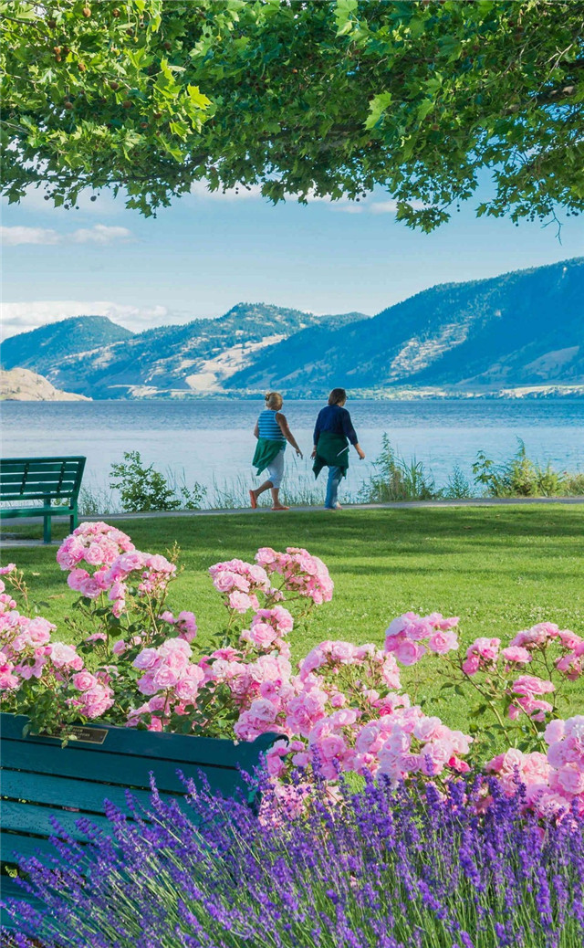 缓解眼睛疲劳壁纸颜色,缓解眼睛疲劳的壁纸高清