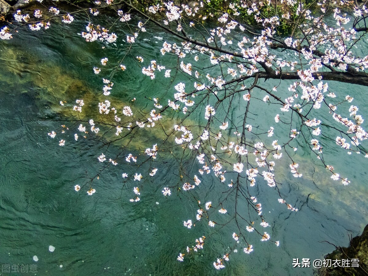 清丽早冬美诗五首赏读：杨柳不知秋已远，可怜冬景似春华