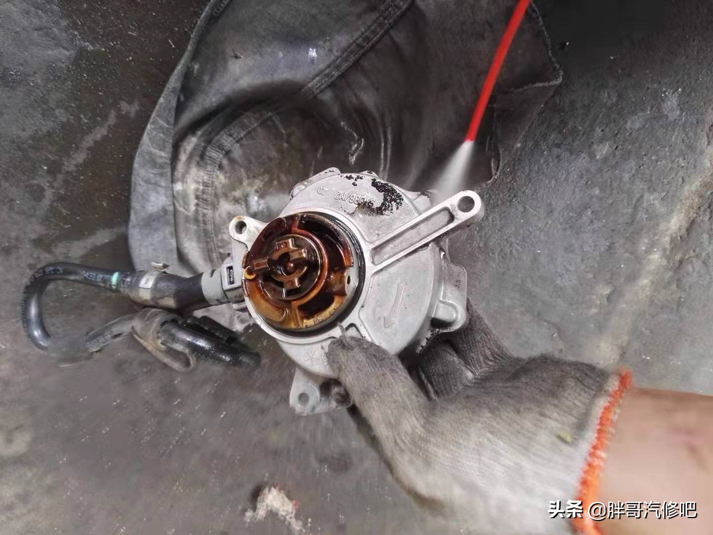 奥迪更换碳罐电磁阀要不要匹配,奥迪发动机漏油到火花塞