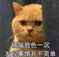 游戏女性角色扮演类,美少女角色游戏