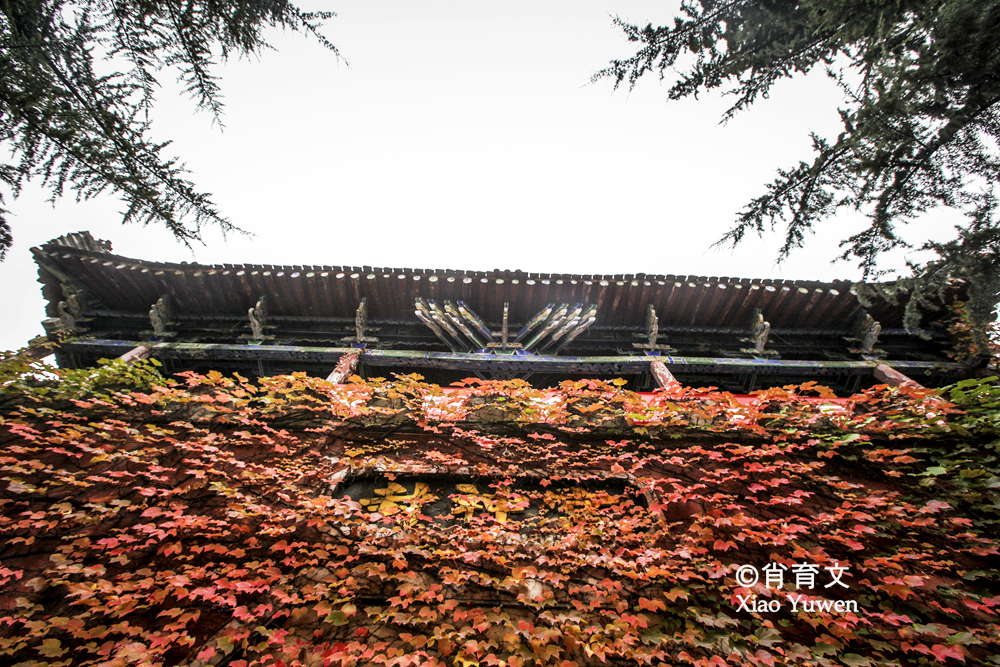 姜子牙钓鱼台照片,姜子牙钓鱼台什么时候去