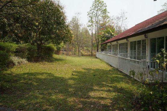 清迈大象义工,清迈大象救助营