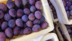 智利野生车厘子好吃吗,智利车厘子哪种好吃又划算