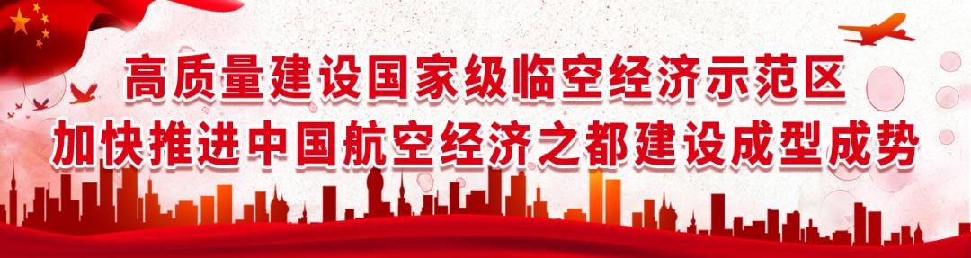 波斯菊孔雀草花海,波斯菊向日葵