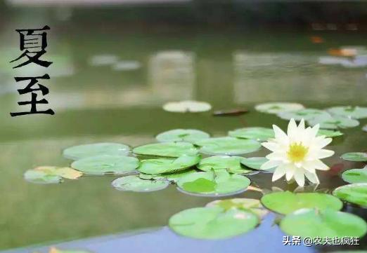 夏至三庚数头伏怎么说呢,夏至三更数初伏是啥意思