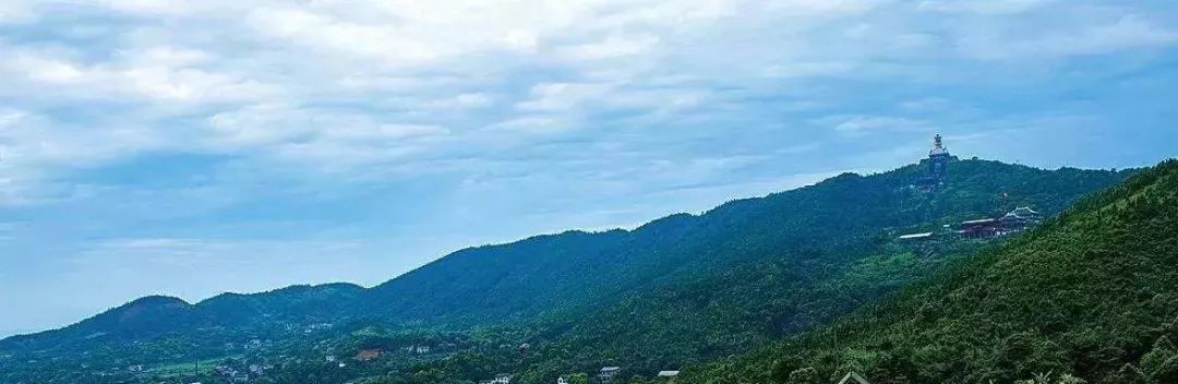 北大张培祥的作文卖米,北大才女之死