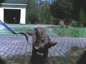 孩子膀胱容量130,儿童最大膀胱容量197正常吗