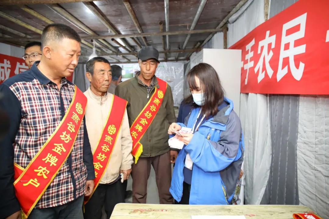 第三届中国农民丰收节汝南,益阳市第三届中国农民丰收节举行