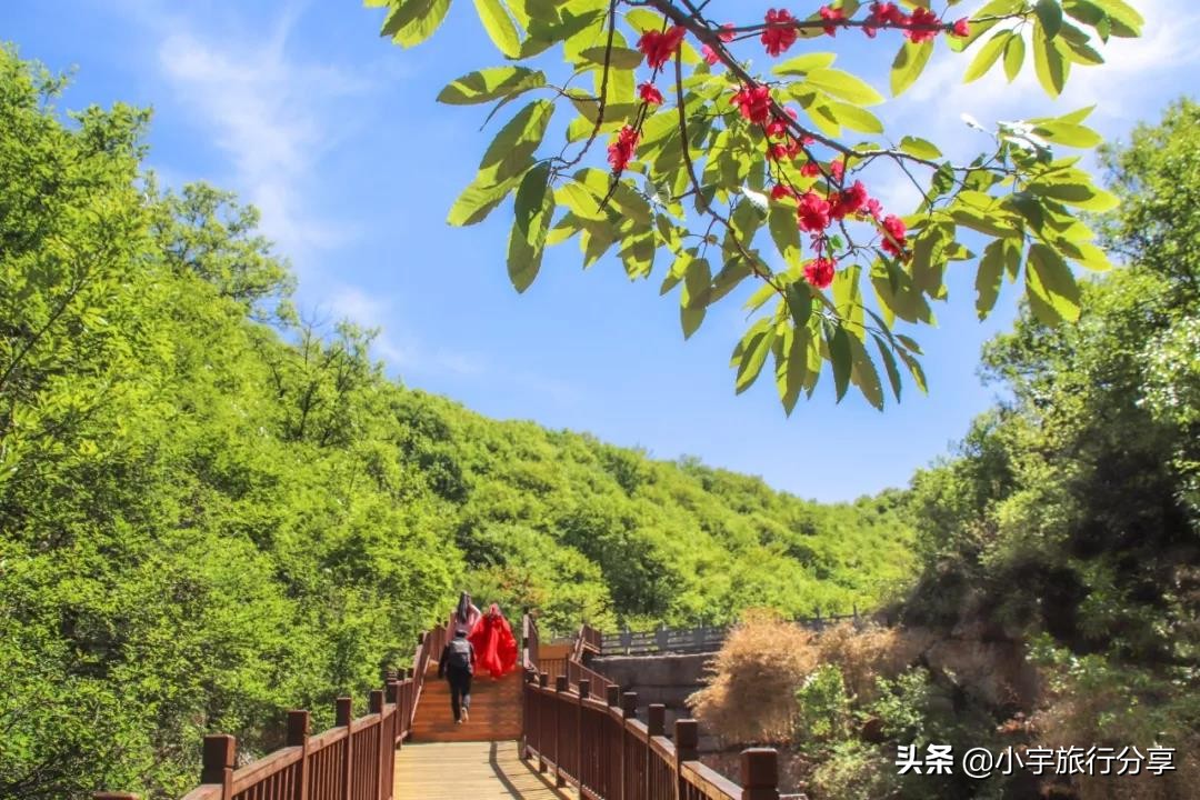 郑州免费旅游景点推荐一日游攻略,郑州冷门旅游景点推荐一下