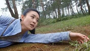 中国电视剧特效退化史：AI换头没《西游记》逼真，投资4亿效果5毛