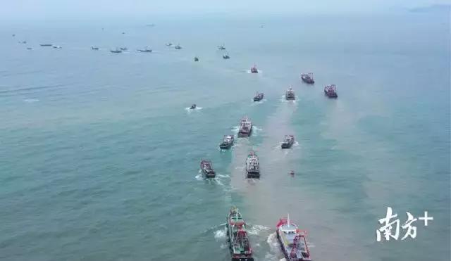 看饿了！南海开渔，佛山人去这些地方吃到high