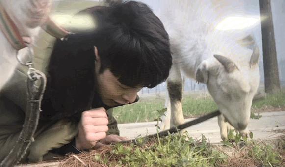 张艺兴极限挑战背后的故事,张艺兴极限挑战大型尴尬现场