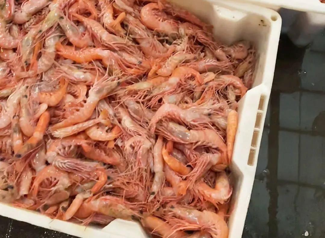 一年一度的开渔季,开渔季味蕾狂欢之旅