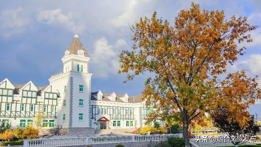 张裕卡斯特酒庄摘葡萄,张裕卡斯特酒庄750毫升定制