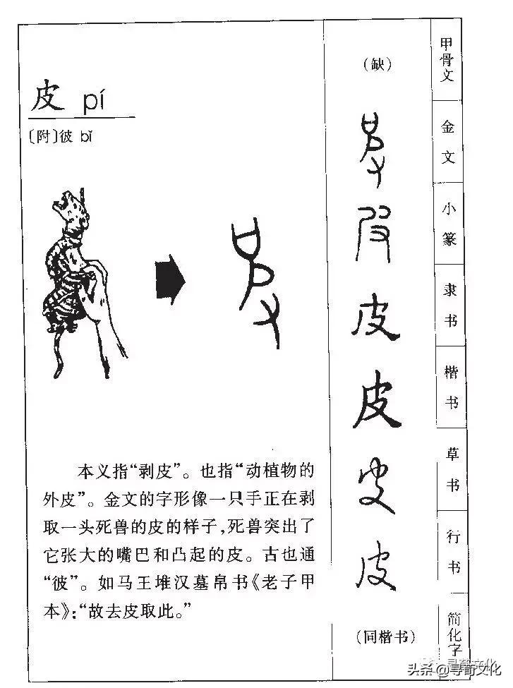 皮汉字写法,皮汉字教学