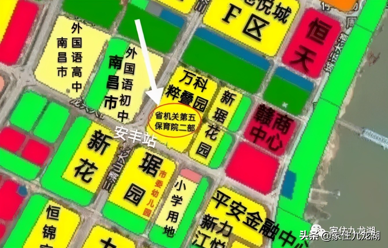 九龙湖幼儿园推荐,九龙湖幼儿园