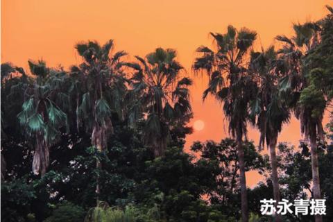 向往厦门同安,向往同安