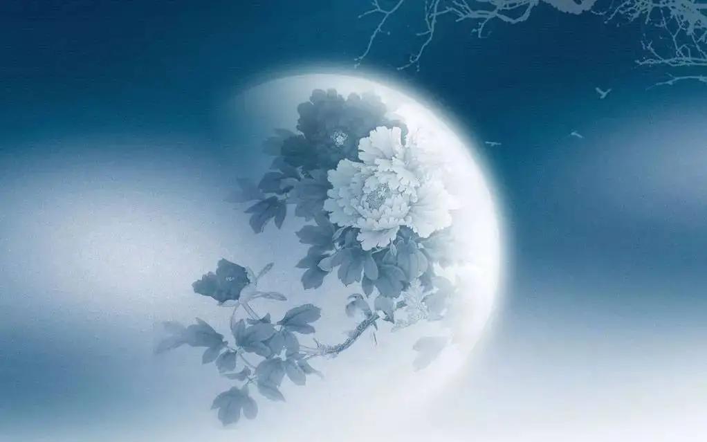 但愿人长久千里共婵娟仅指爱情吗,但愿人长久千里共婵娟是思念吗