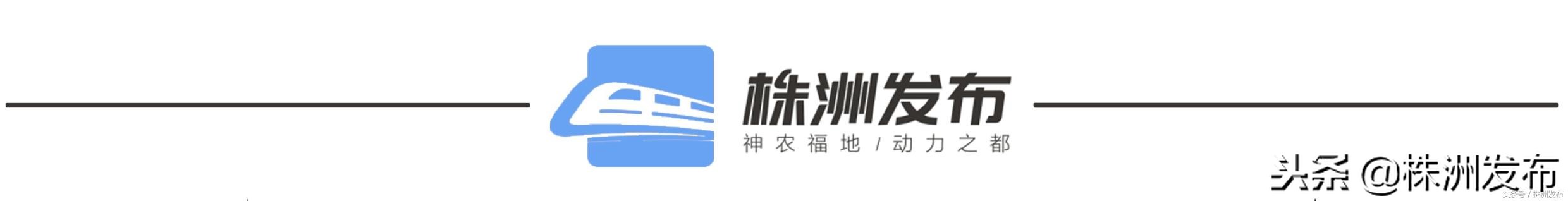 2020株洲特长生招生标准,株洲市二中体育生招生标准