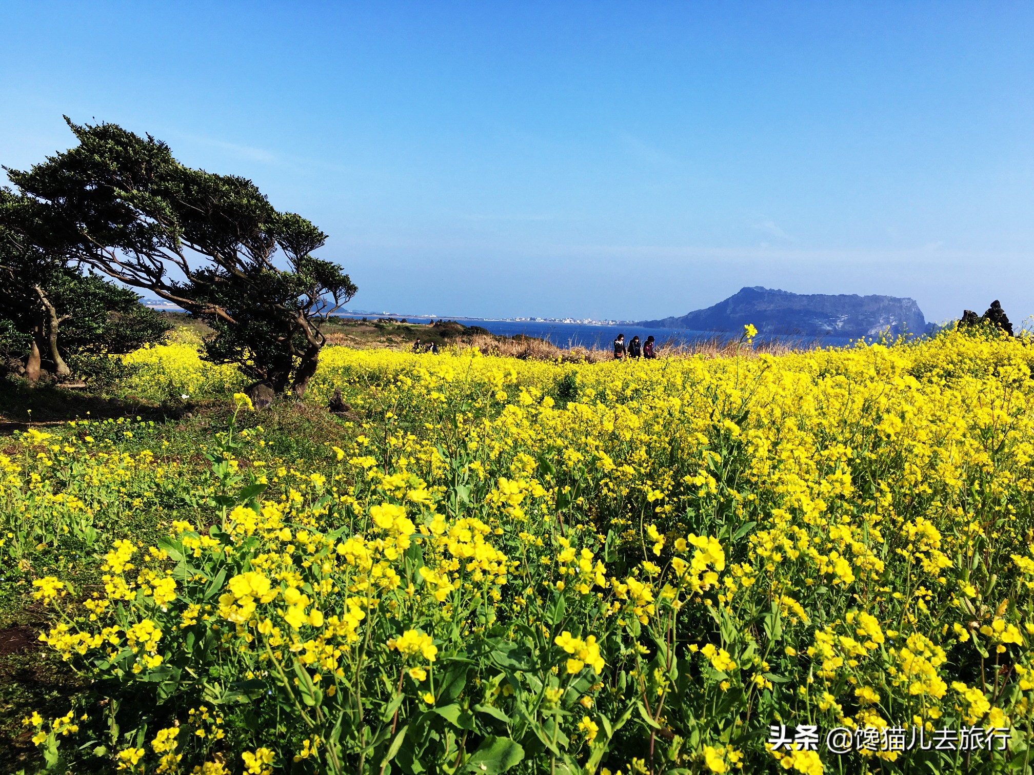 韩国汗蒸馆内中文,韩国汗蒸馆中文