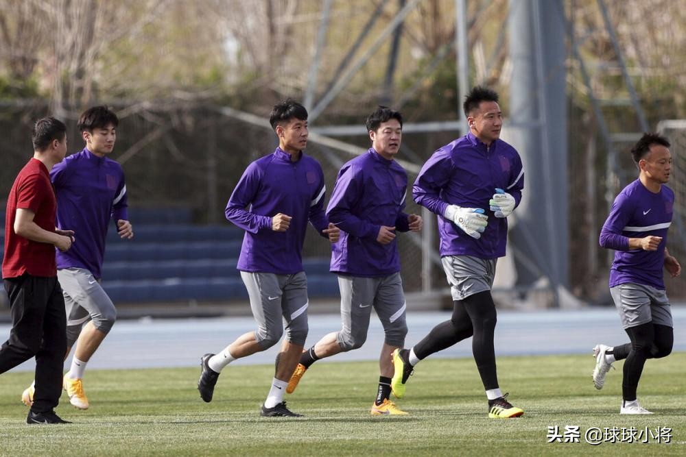 津门虎首发队员,津门虎主力阵容