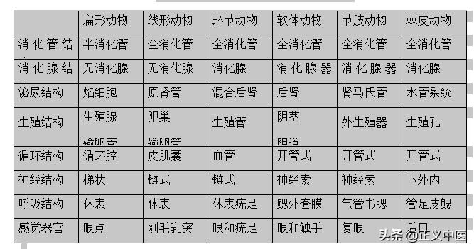 脾主要的细胞分布,脾主要的细胞
