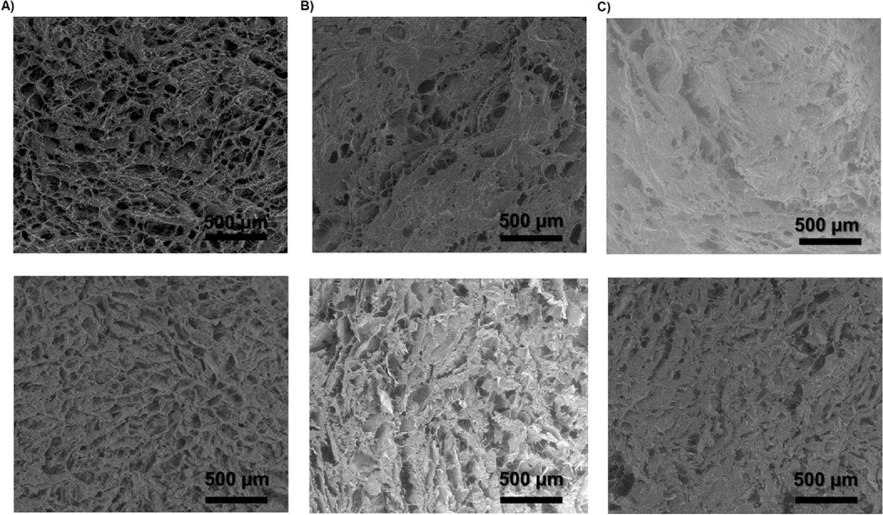 用于局部姜黄素给药的3D打印海藻酸纤维素纳米纤维贴剂