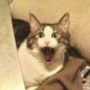 万能查看文件神器,快速查看各类文件工具