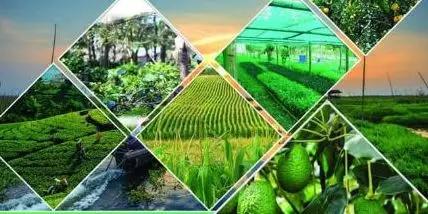 缅甸投资最佳项目,缅甸掸邦的经济发展得怎么样