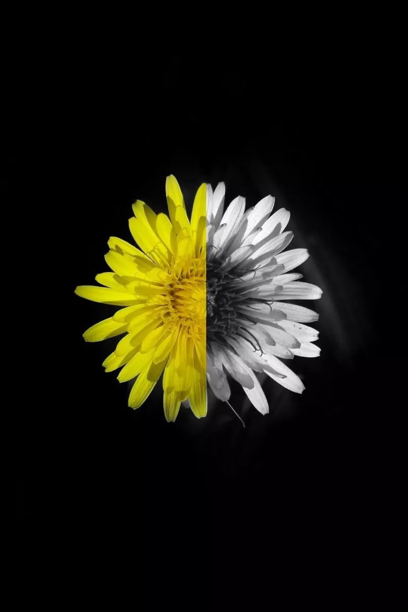 绉戠爺澹佺焊,绉戠爺浜虹殑鏂板勾澹佺焊