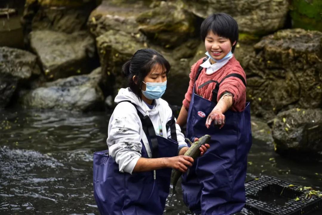 揭秘丨会玩，更会学！位于城北的这所七系学校，你了解多少？