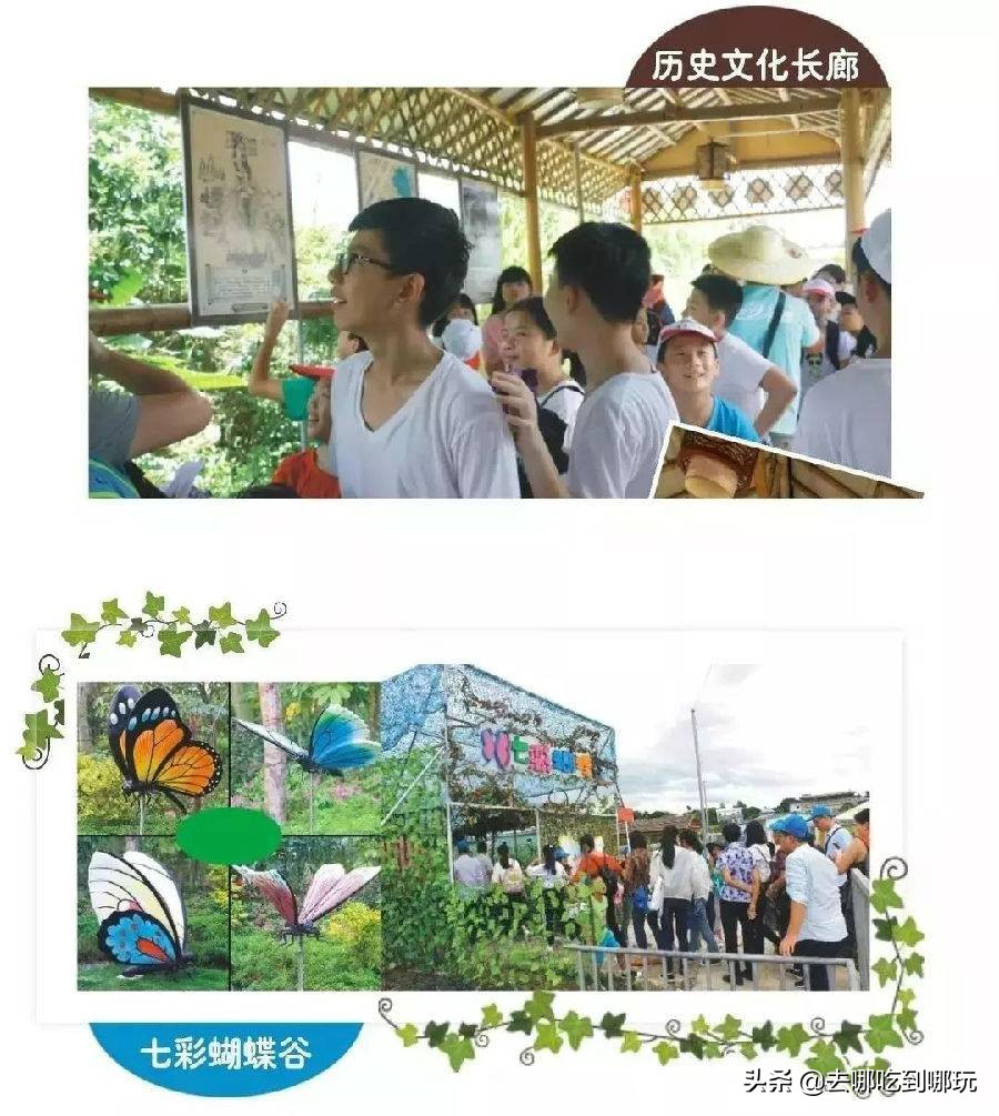 69.9抢惠州罗浮山漂流门票89元抢漂流门票+空中田园