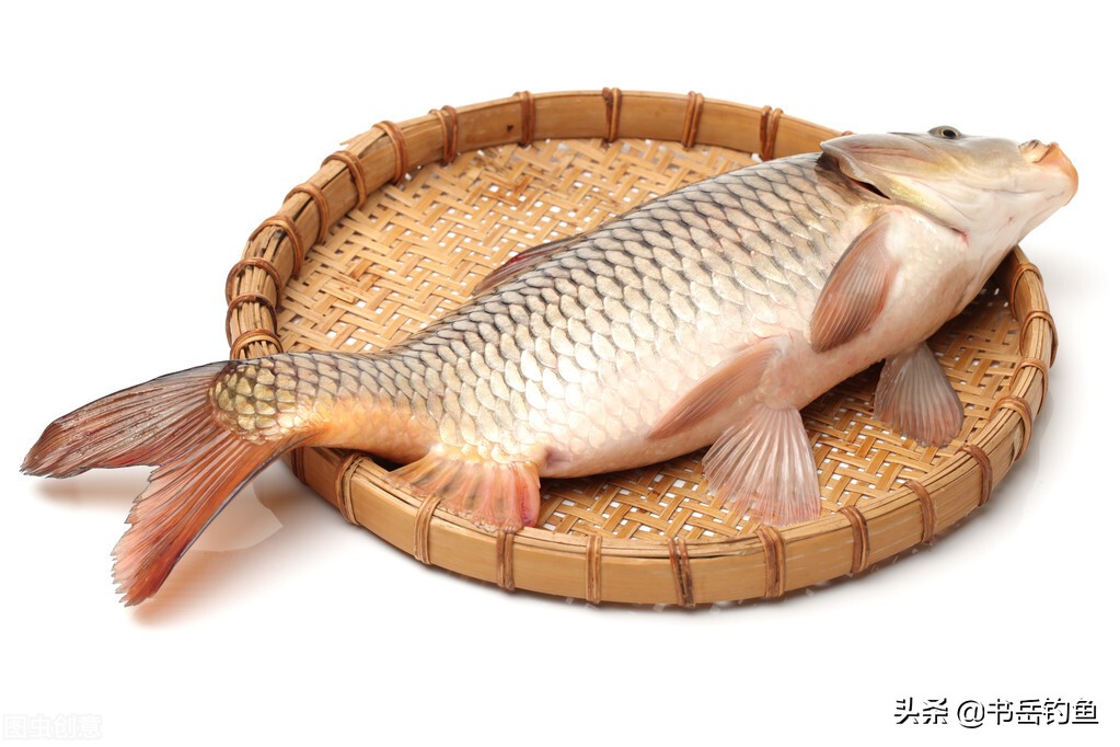 黄河鱼类资源衰退,黄河流域鱼类引种现状及存在问题