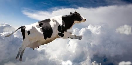 十二生肖牛又简单又可爱,十二生肖牛的介绍